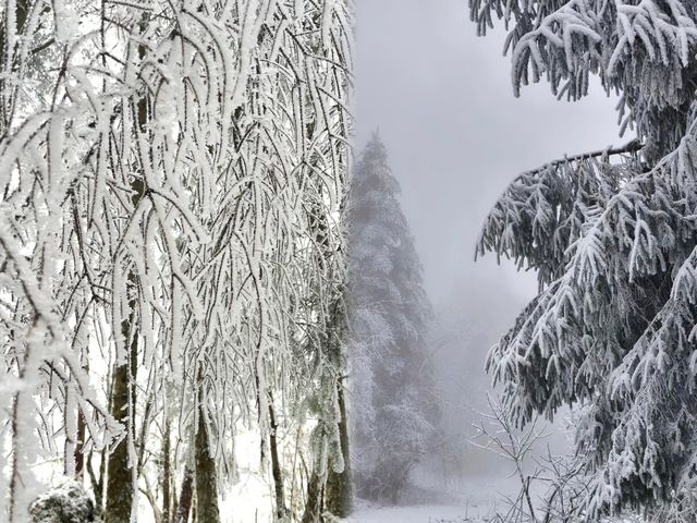 樂山峨邊杜鵑池徒步玩雪攻略