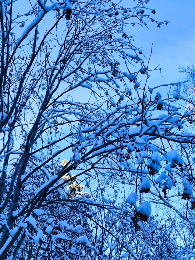 哈爾濱-雪鄉滑雪之旅超實用攻略 不看後悔