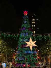 Discover the Most Beautiful Christmas Tree in the Sydney