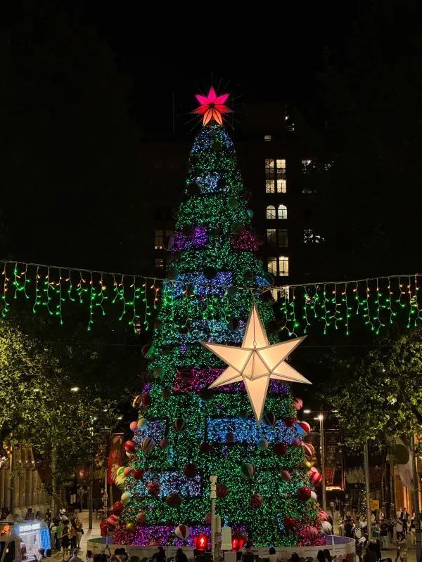 Discover the Most Beautiful Christmas Tree in the Sydney