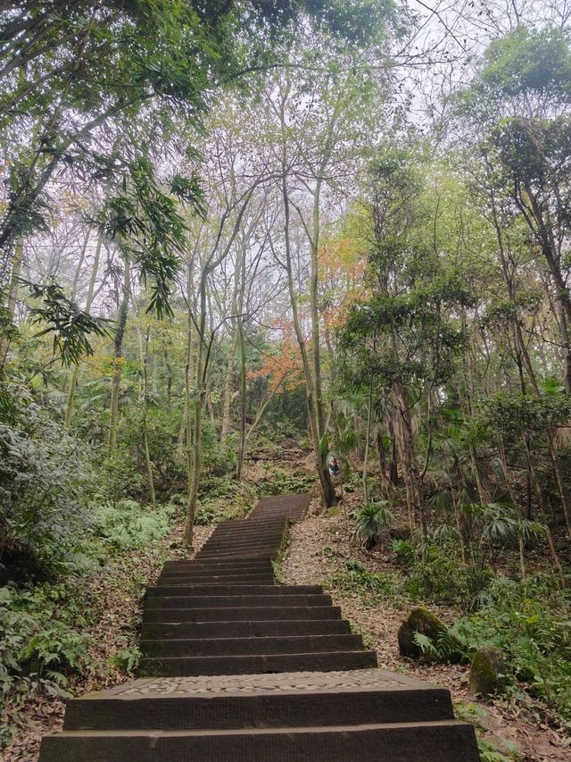 鳳棲山｜鳳舞九天，棲於仙境