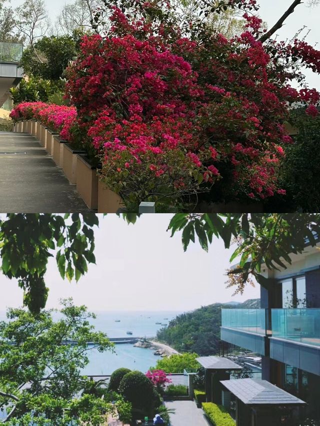 珠海萬山島靜雲山莊