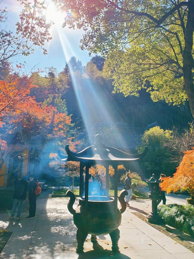 被靈隱寺埋沒的最美寺廟——永福寺