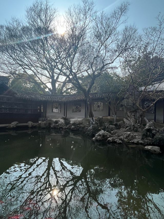 重遊退思園——千年古鎮同里