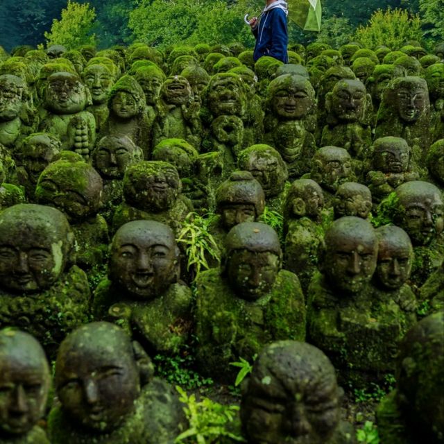 霓虹國出片聖地✨日本必打卡景點攻略