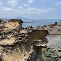 走到台灣北部盡頭-野柳地質公園