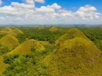 The Chocolate Hills: remarkable geological formation and iconic hills in the island of Bohol. 