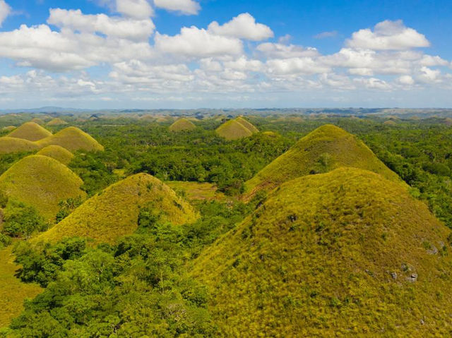 The Chocolate Hills: remarkable geological formation and iconic hills in the island of Bohol. 