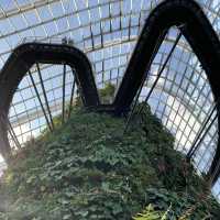 Botanical Bliss: Urban Paradise in Gardens by the Bay