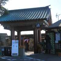 【和歌山】和歌山の秘湯「崎の湯」自然と癒しの隠れ家