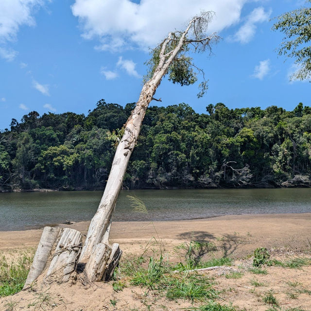 Discover the Charm of Kuranda, Queensland