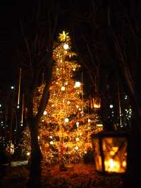 【 長野 軽井沢 】一生の思い出になるクリスマスイルミネーション🎄