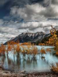 Falling in Love with Alberta’s Nature and Colors