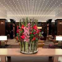 Refined Tranquility in the Heart of Mayfair: My Stay at Park Hyatt London