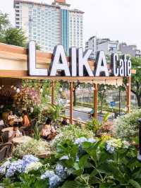 LAIKA CAFE