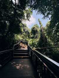 Enchanting Outdoor Adventure at Sangeh Monkey Forest