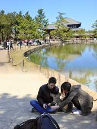 Tōdai-ji: Home of the Great Buddha and Timeless Grandeur