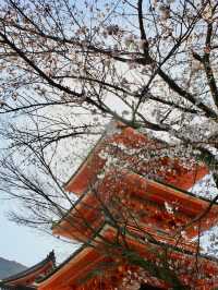 Morning Splendor at Kiyomizu-dera: Beauty Amidst the Crowds