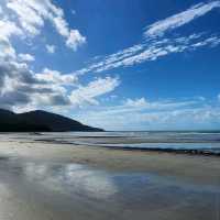 Daintree National Park, Queensland