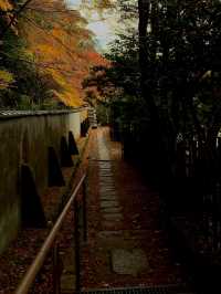 Autumn colors in Kyoto 🍁