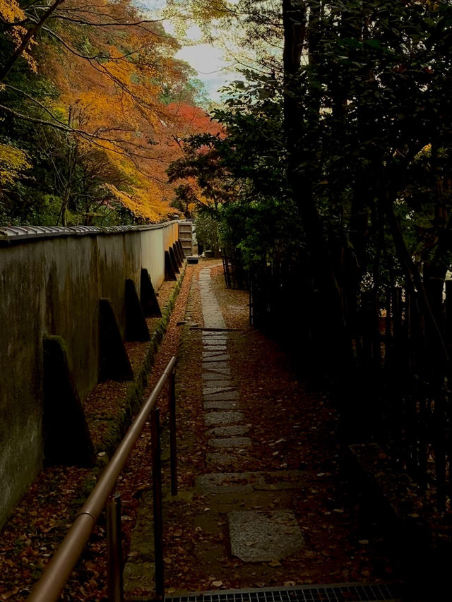 Autumn colors in Kyoto 🍁