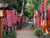 Sumiyoshi Taisha 🇯🇵