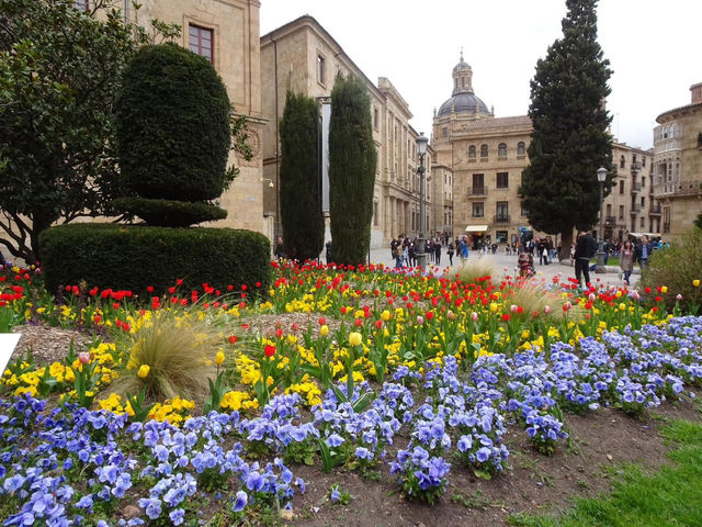 City break in Salamanca 🇪🇸