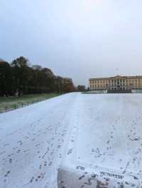 Royal Palace in Oslo: A Winter Wonderland of Majesty ❄️👑