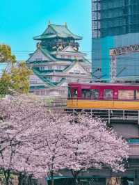 Osaka Castle park full of flowers 💐🇯🇵