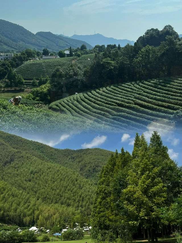 在安吉，遇見美麗中國。