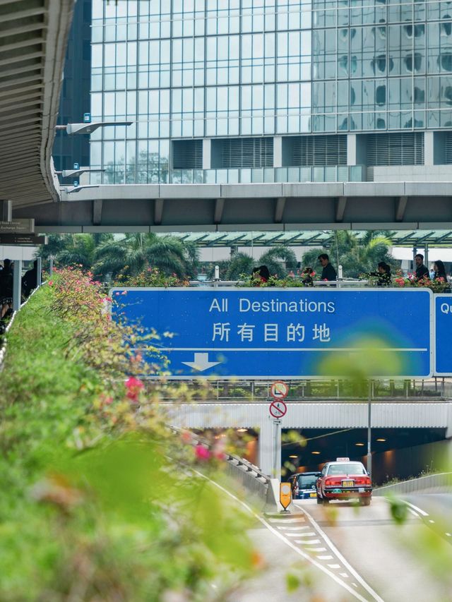 香港城市漫步！｜錯峰遊香港真的讚！！！。