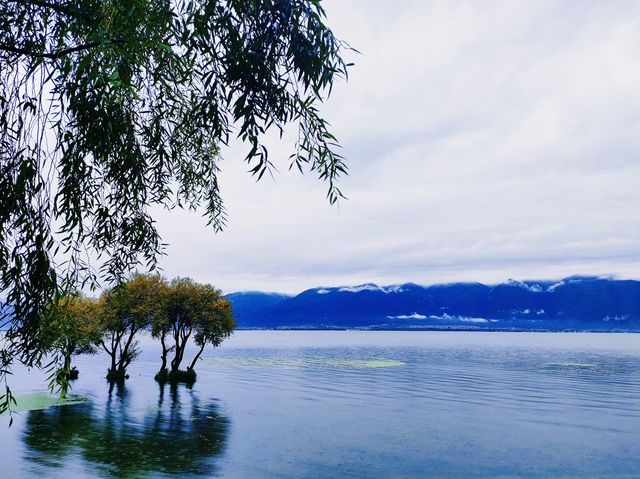 阿凱緹婭｜雨時治癒的氛圍感。