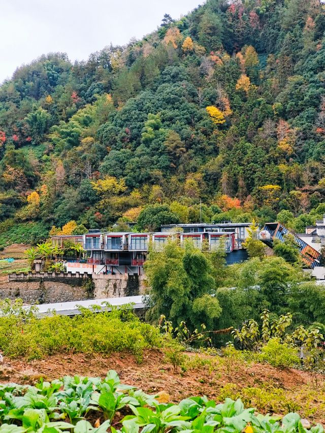 黃山旅遊冬季重大調整來旅遊一定要注意。