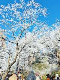 古人不曾欺我——登黃山天下無山，觀止矣