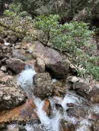 金華牛頭山國家森林公園｜金華八婺第一峰"