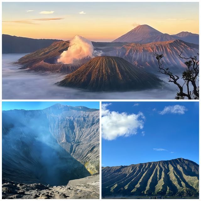 馬朗 - Bromo 超詳細旅遊攻略 | 火山下的奇幻之旅