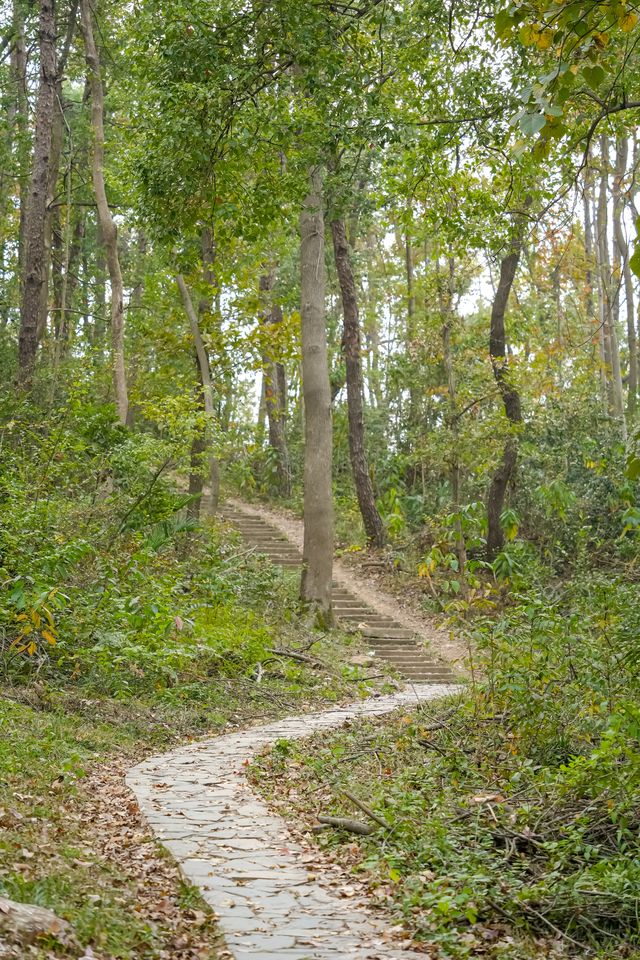 在武漢人少好爬的冬日行山路線（附路線圖）