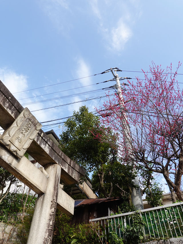 🌸愛宕神社行程🌸福冈不能错过的祈福之地