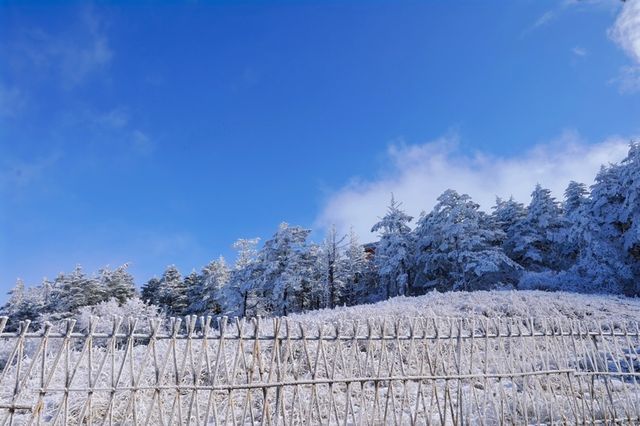 【雪域峨眉】冬季峨眉山，探秘冰雪世界的佛教聖地