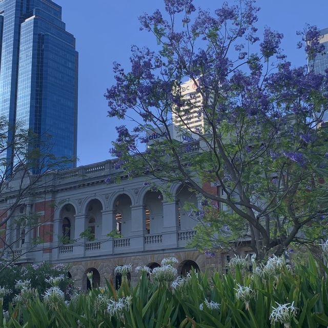 Perth | A Leisurely Walk at in downtown Perth and Elizabeth Quay 