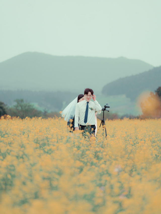 🇰🇷濟州島｜韓劇般的場景「城山油菜花田」