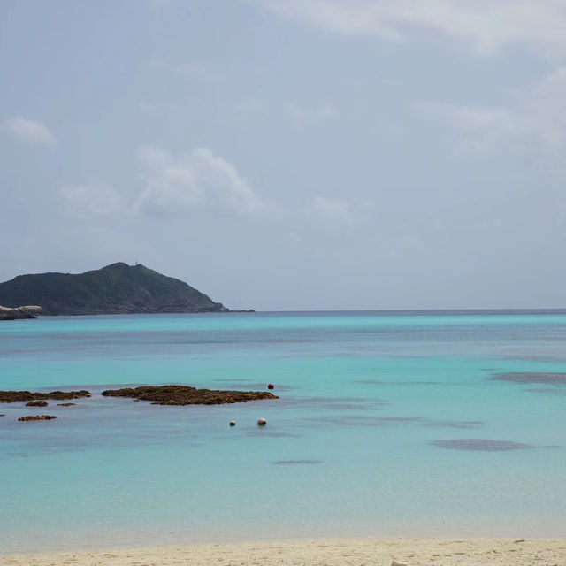 元島～前所未有的視覺和感官饗宴