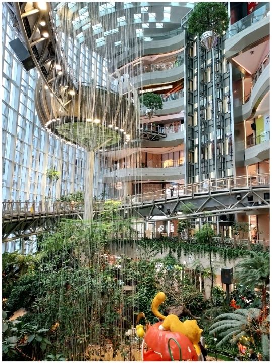 Forest in Shopping Mall