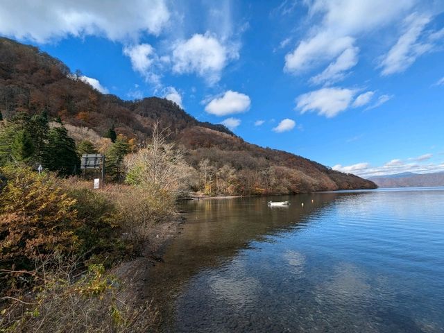 湖天一色的湛藍清澈，美麗又神秘的「十和田湖」