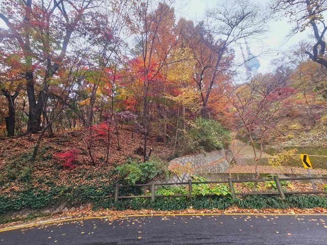 A nice trail of autumn foliage at Namsan Park trail