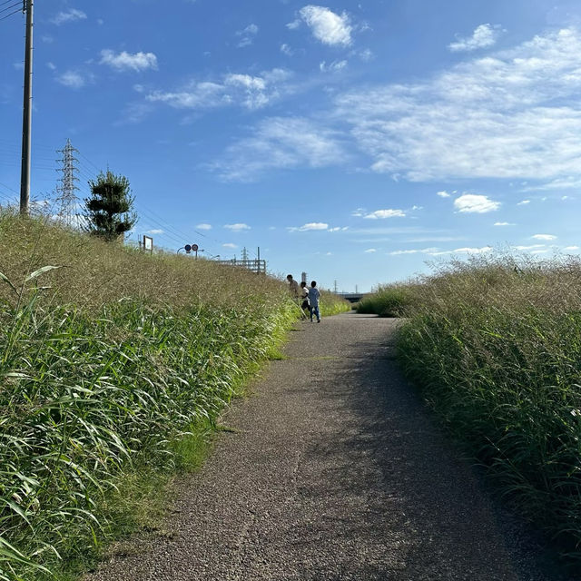 麥野一丁目公園：遊玩與放鬆的完美天地 🌳🎉