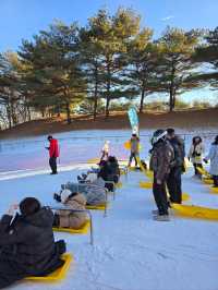 신나는 강원도 겨울여행추천 스노위랜드☃️