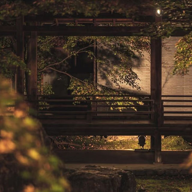 大本山·建仁寺：京都禪意的深處