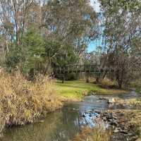 Alpine Serenity: Strolling Through Myrtleford