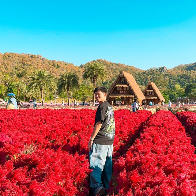 Hokkaido Flower Park Khao Yai 